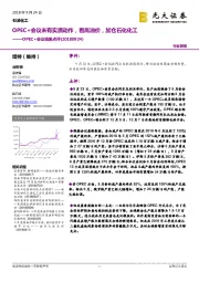 OPEC+会议结果点评：OPEC会议未有实质动作，看高油价，加仓石化化工