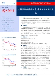 新能源行业周报：电解钴价格持稳回升 赣锋锂业供货特斯拉