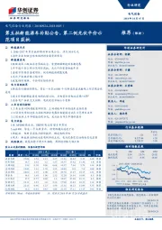 电气设备行业周报：第五批新能源车补贴公告，第二例光伏平价示范项目获批