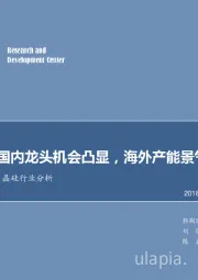 全球视野下的多晶硅行业分析：国内龙头机会凸显，海外产能景气分化