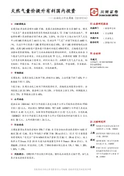 石油化工行业周报：天然气量价提升有利国内投资