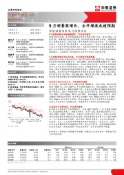 新能源乘用车9月销量点评：9月销量高增长，全年增速或超预期