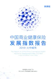 2018·大中城市：中国商业健康保险发展指数报告