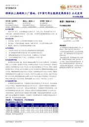 电气设备行业研究周报:特斯拉上海超级工厂落地,《中国可再生能源发展报告》正式发布