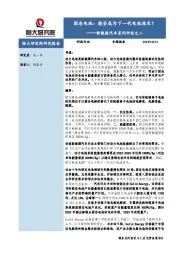 新能源汽车系列研究之二：固态电池：能否成为下一代电池技术？