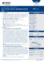有色金属行业周报：国外片钒价格大幅补涨 避险情绪助金价涨势延续