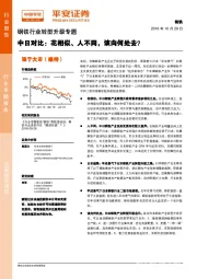 钢铁行业转型升级专题：中日对比：花相似、人不同，该向何处去？