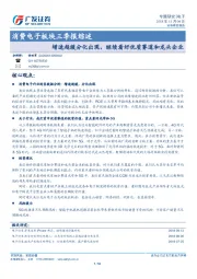 消费电子板块三季报综述：增速趋缓分化出现，继续看好优质赛道和龙头企业