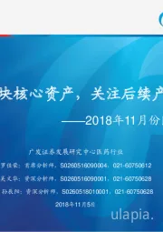 2018年11月份医药投资策略：高度聚焦板块核心资产，关注后续产业政策走向