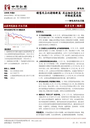 锂电池行业月报：销售及占比持续新高 关注细分龙头和补贴政策进展