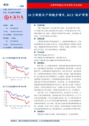 电气设备与新能源：10月新能车产销稳步增长，KCC钴矿停售
