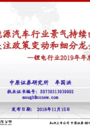 锂电行业2019年年度投资策略：新能源汽车行业景气持续向上 关注政策变动和细分龙头