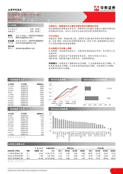 电力设备与新能源： 行业周报（第四十六周）