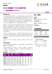 有色金属周报：2019年铜精矿TC/RC继续下降