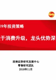 零售行业2019年投资策略：受益于消费升级，龙头优势深化