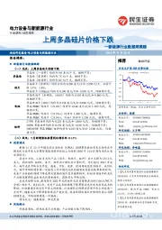 新能源行业数据周跟踪：上周多晶硅片价格下跌