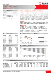 计算机软硬件行业周报（第四十七周）