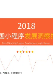 移动互联网行业：2018中国小程序发展洞察报告