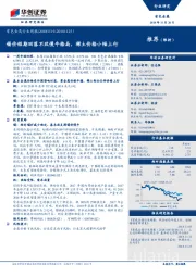 有色金属行业周报：锡价短期回落不改慢牛格局，稀土价格小幅