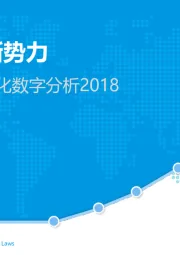 中国电商品牌化数字分析2018：品牌零售新势力