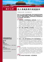 长三角城农商行深度报告：区域经济企稳，关注潜在压力