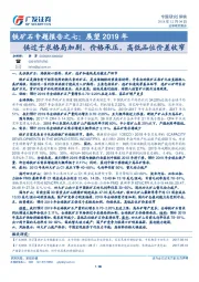 铁矿石专题报告之七：展望2019年：供过于求格局加剧、价格承压，高低品位价差收窄
