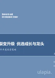 汽车行业2019年年度投资策略：市场疲软裂变升级，优选成长与龙头