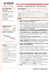 半导体设备行业点评报告：中国成全球最大市场，龙头受益自主可控