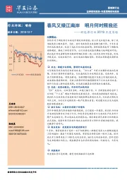 新能源行业2019年度策略：春风又绿江南岸 明月何时照我还