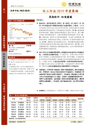 化工行业2019年度策略：周期轮回 细嗅蔷薇