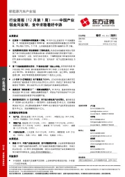 新能源汽车产业链行业周报（12月第1周）：中国产业链走向全球，变中求稳看好中游
