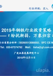 2019年钢铁行业投资策略：纷扰渐弱，万象归宗