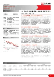 11月乘用车销量点评：11月乘用车销量萎靡，新能源车逆市而上