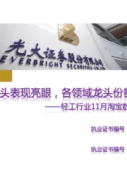 轻工行业11月淘宝数据跟踪与解读:龙头表现亮眼,各领域龙头份额普遍提升