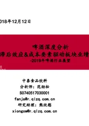 2019年啤酒行业展望：啤酒深度分析：提价滞后效应&成本要素驱动板块业绩加速释放