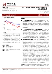 锂电池行业月报：11月显著跑赢指数 持续关注细分龙头及政策进展