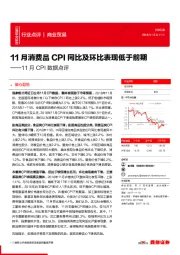 11月CPI数据点评：11月消费品CPI同比及环比表现低于前期