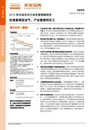 2019年石油石化行业年度策略报告：价涨量增促油气，产业重塑利化工