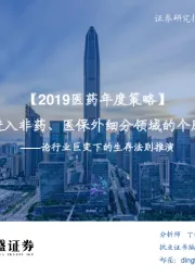2019医药年度策略：论行业巨变下的生存法则推演-医药进入非药、医保外细分领域的个股时代