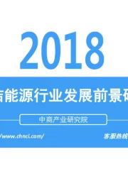 中国清洁能源行业发展前景研究报告