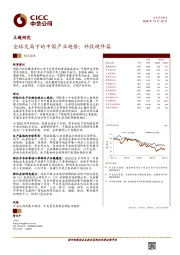 科技主题研究：全球变局下的中国产业趋势：科技硬件篇