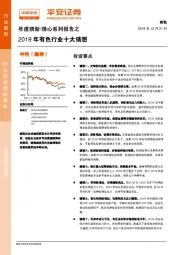 年度猜新/猜心系列报告之2019年有色行业十大猜想