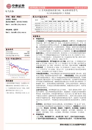 电力设备新能源第51周周报：11月风电装机同增50%，电动车持续景气
