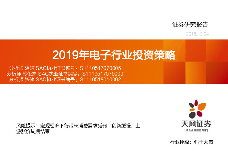 2019年电子行业投资策略