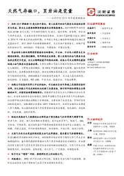 石化行业2019年年度策略报告：天然气存缺口，页岩油是变量