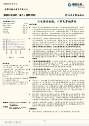 2019年度策略报告：白电强者恒强，小家电穿越周期