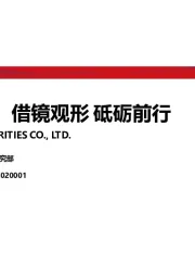 寿险业专题：借镜观形 砥砺前行