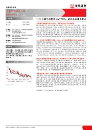公用事业动态点评：1-11月燃气消费同比+17.9%，看好未来增长潜力