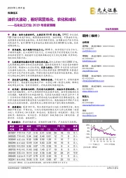 石化化工行业2019年投资策略：油价大波动，看好民营炼化、农化和成长