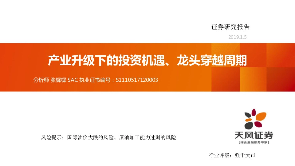 石油化工行业：产业升级下的投资机遇、龙头穿越周期